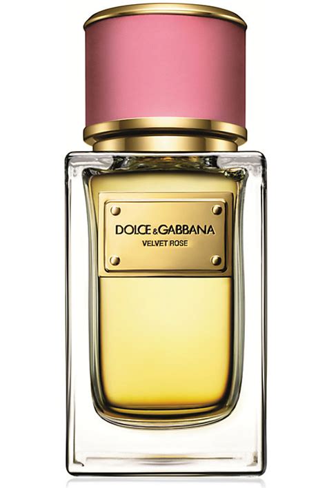 parfum billig online dolce gabbana|Dolce & Gabbana perfume for women.